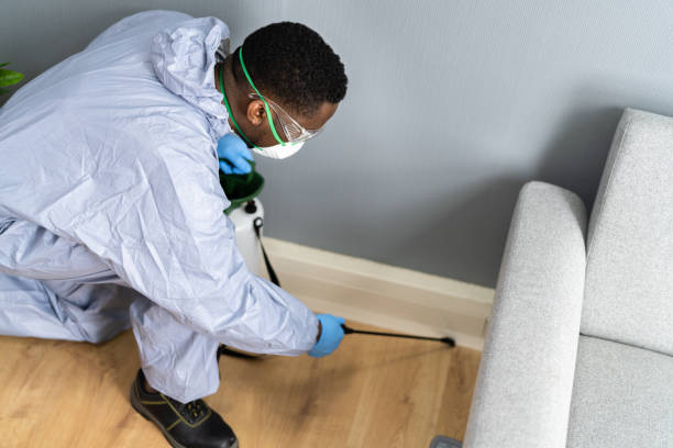 Best Bed Bug Extermination  in Menahga, MN